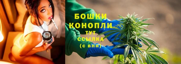 шишки Лихославль