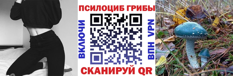 Псилоцибиновые грибы Magic Shrooms  Купить  Беслан 