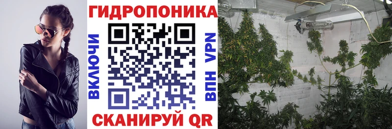 Марихуана сатива  Купить где  Беслан 